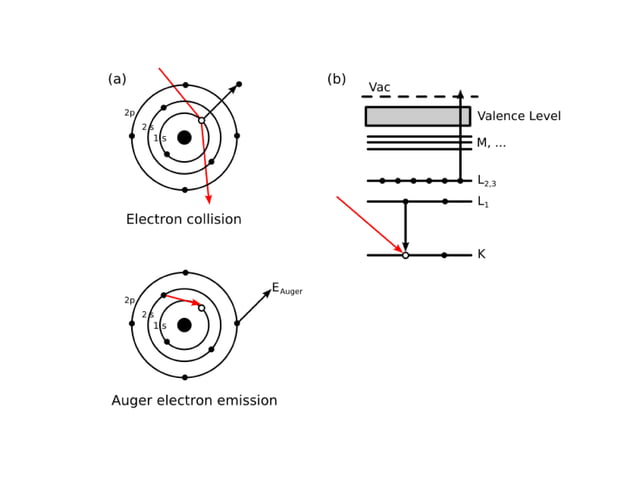 Auger Effect Puplic Pptx