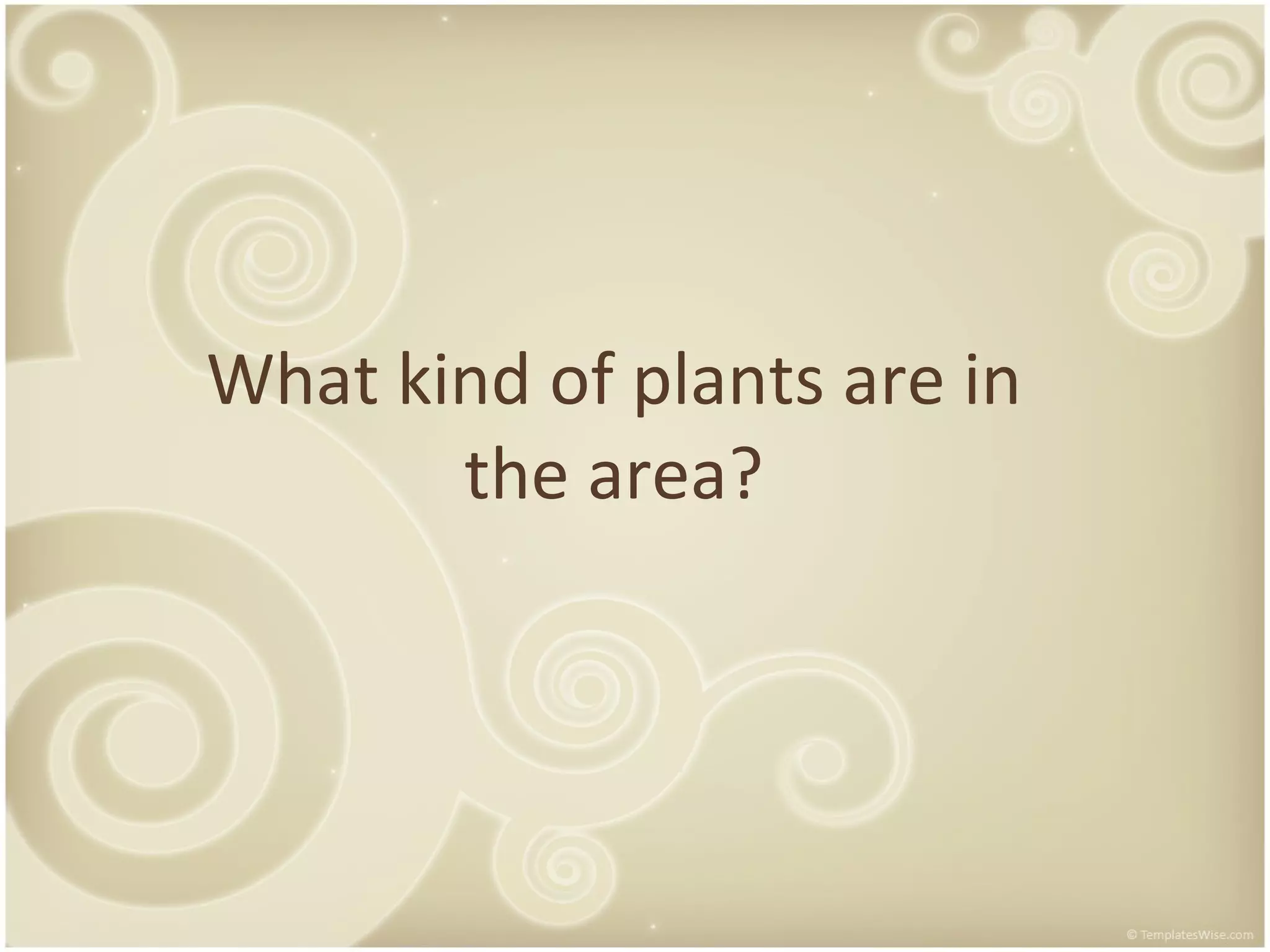 What kind of plants are in the area?