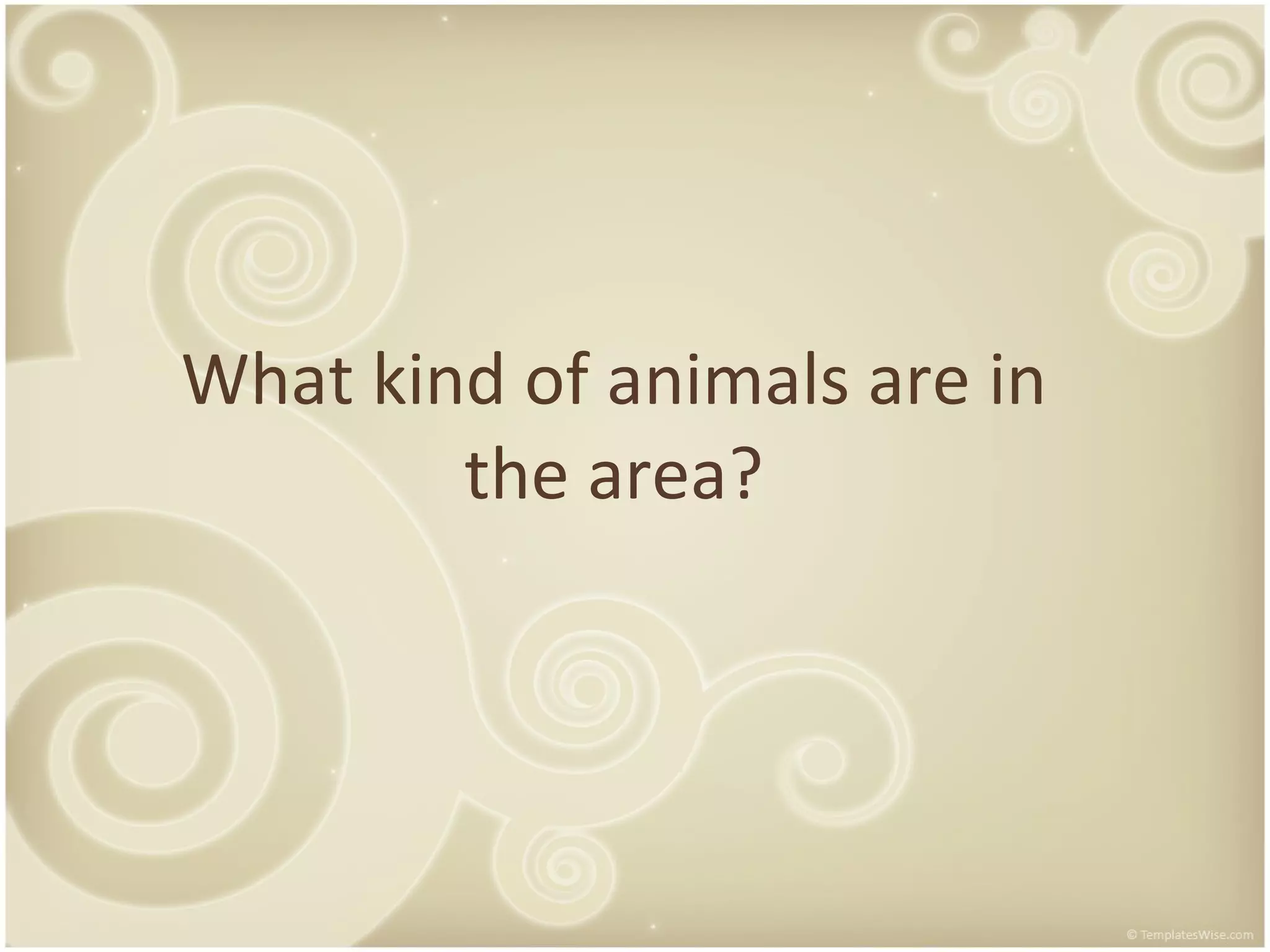 What kind of animals are in the area?