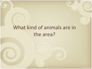 What kind of animals are in the area? 