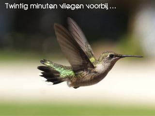 Twintig minuten vliegen voorbij …
 