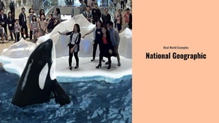 Real World Examples
National Geographic
 