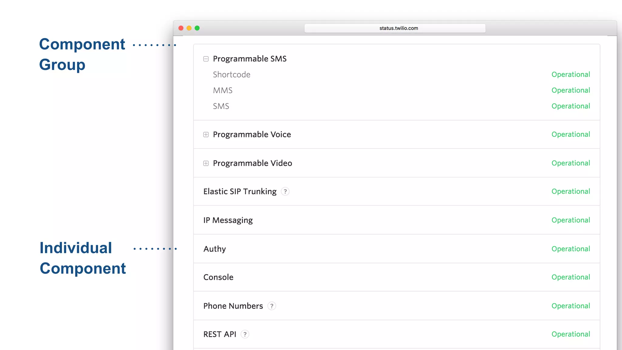 Component
Group
Individual
Component
 