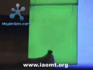 Toxicity, Obesity,and Weight Loss ResistanceTwo Causes:Leptin Receptors burnt out at the hypothalamus.1Body creates protective fat (Toxins are primarily fat-soluble).2Mold Warriors, Dr. Ritchie Shoemaker, 2002 The Detox Diet, Dr. Paula Baillie-Hamilton, 2002