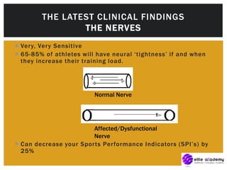  Very, Very Sensitive
 65-85% of athletes will have neural ‘tightness’ if and when
they increase their training load.
 Can decrease your Sports Performance Indicators (SPI’s) by
25%
THE LATEST CLINICAL FINDINGS
THE NERVES
Normal Nerve
Affected/Dysfunctional
Nerve
 
