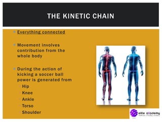  Everything connected
 Movement involves
contribution from the
whole body
 During the action of
kicking a soccer ball
power is generated from
 Hip
 Knee
 Ankle
 Torso
 Shoulder
THE KINETIC CHAIN
 