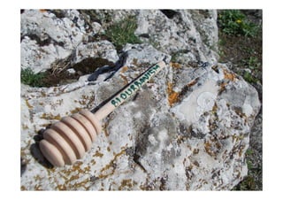 Auguraculum collettivo di Segni