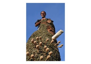 Auguraculum collettivo di Segni