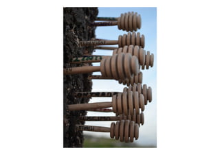 Auguraculum collettivo di Segni