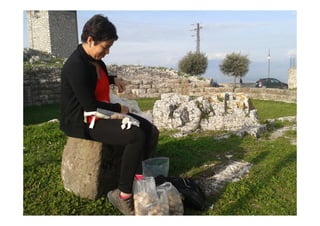 Auguraculum collettivo di Segni