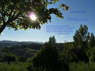 Quelle di lassù sono le cose del cielo.  Quelle che Gesù indicò nella sua predicazione.  Quelle che seppe elargire con i suoi gesti.  Quelle che furono segnate dalla speranza  che riuscì a donare.  Cercare le cose di lassù è impresa ardua, ma non impossibile da realizzarsi.  