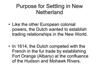 Purpose for Settling in New Netherland Like the other European colonial powers, the Dutch wanted to establish trading relationships in the New World. In 1614, the Dutch competed with the French in the fur trade by establishing Fort Orange (Albany) at the confluence of the Hudson and Mohawk Rivers. 