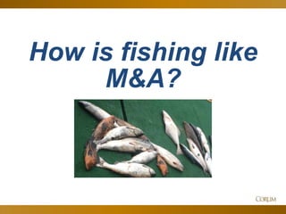 6
How is fishing like
M&A?
 