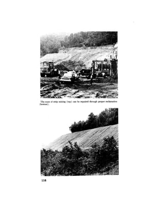 August 1974 The Fifth Annual Report Of The Council On Environmental Quality
