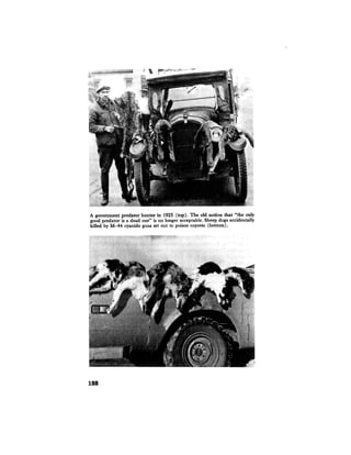 August 1974 The Fifth Annual Report Of The Council On Environmental Quality