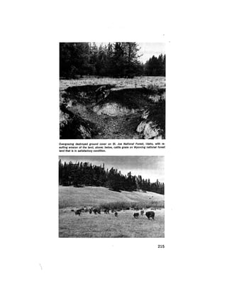 August 1975 The Sixth Anual Report Of The Council On Environmental Quality