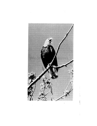 August 1979 The Tenth Annual Report Of The Council On Environmental Quality