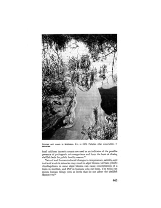 August 1979 The Tenth Annual Report Of The Council On Environmental Quality