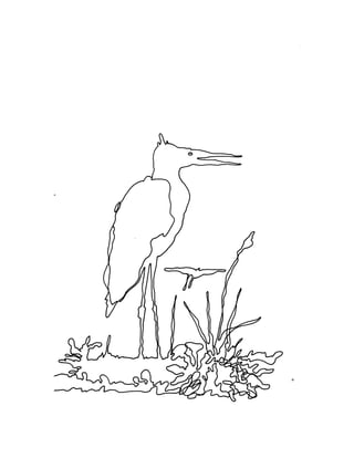 August 1981 The 12th Annual Report Of The Council On Environmental Quality