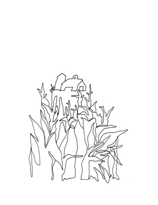 August 1981 The 12th Annual Report Of The Council On Environmental Quality