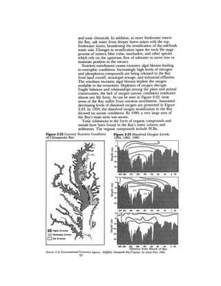 August 1982 The Thirteenth Annual Report Of The Council On Environmental Quality