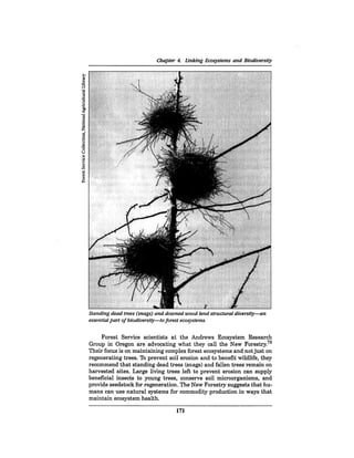 August 1990 The 21st Annual Report Of The Council On Environmental Quality
