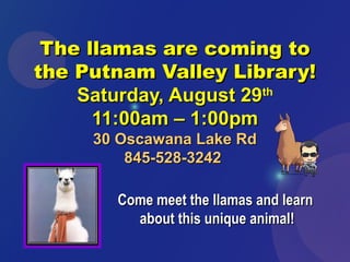 The llamas are coming toThe llamas are coming to
the Putnam Valley Library!the Putnam Valley Library!
Saturday, August 29Saturday, August 29thth
11:00am – 1:00pm11:00am – 1:00pm
30 Oscawana Lake Rd30 Oscawana Lake Rd
845-528-3242845-528-3242
Come meet the llamas and learnCome meet the llamas and learn
about this unique animal!about this unique animal!
 
