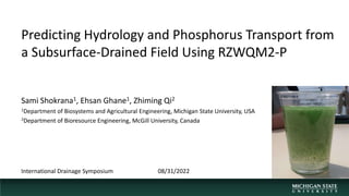 Predicting Hydrology and Phosphorus Transport from
a Subsurface-Drained Field Using RZWQM2-P
Sami Shokrana1, Ehsan Ghane1, Zhiming Qi2
1Department of Biosystems and Agricultural Engineering, Michigan State University, USA
2Department of Bioresource Engineering, McGill University, Canada
08/31/2022
International Drainage Symposium
 