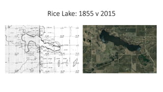 Rice Lake: 1855 v 2015
 