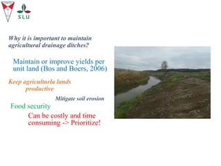 Why it is important to maintain
agricultural drainage ditches?
Maintain or improve yields per
unit land (Bos and Boers, 2006)
Keep agriculturla lands
productive
Food security
Can be costly and time
consuming -> Prioritize!
Mitigate soil erosion
 
