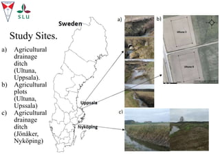 a) Agricultural
drainage
ditch
(Ultuna,
Uppsala).
b) Agricultural
plots
(Ultuna,
Upssala)
c) Agricultural
drainage
ditch
(Jönåker,
Nyköping)
Study Sites.
 