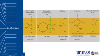 D O C U M E N T T I T L E |
S E C T I O N T I T L
Mechanism
Covered in this section:
Section Item | Section Item | Section
Item Section Item | Section
Item
 