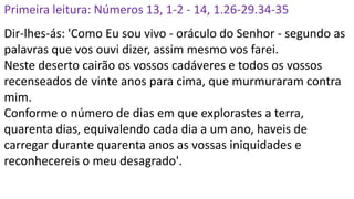 Primeira leitura: Números 13, 1-2 - 14, 1.26-29.34-35
Dir-lhes-ás: 'Como Eu sou vivo - oráculo do Senhor - segundo as
palavras que vos ouvi dizer, assim mesmo vos farei.
Neste deserto cairão os vossos cadáveres e todos os vossos
recenseados de vinte anos para cima, que murmuraram contra
mim.
Conforme o número de dias em que explorastes a terra,
quarenta dias, equivalendo cada dia a um ano, haveis de
carregar durante quarenta anos as vossas iniquidades e
reconhecereis o meu desagrado'.
 