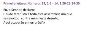 Primeira leitura: Números 13, 1-2 - 14, 1.26-29.34-35
Eu, o Senhor, declaro:
Hei-de fazer isto a toda esta assembleia má que
se revoltou contra mim neste deserto.
Aqui acabarão e morrerão!'»
 