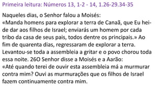 Primeira leitura: Números 13, 1-2 - 14, 1.26-29.34-35
Naqueles dias, o Senhor falou a Moisés:
«Manda homens para explorar a terra de Canaã, que Eu hei-
de dar aos filhos de Israel; enviarás um homem por cada
tribo da casa de seus pais, todos dentre os principais.» Ao
fim de quarenta dias, regressaram de explorar a terra.
Levantou-se toda a assembleia a gritar e o povo chorou toda
essa noite. 26O Senhor disse a Moisés e a Aarão:
«Até quando terei de ouvir esta assembleia má a murmurar
contra mim? Ouvi as murmurações que os filhos de Israel
fazem continuamente contra mim.
 