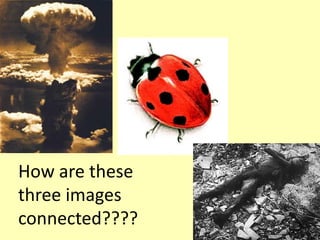 How are these
three images
connected????
 