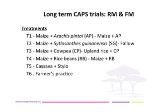 AugustinMercado-icraf-conservationagriculturewithtreesintopical uplands
