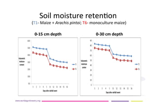 AugustinMercado-icraf-conservationagriculturewithtreesintopical uplands