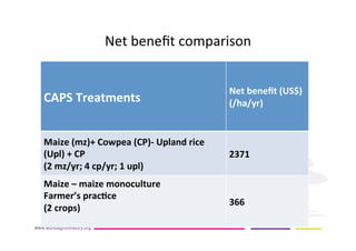 AugustinMercado-icraf-conservationagriculturewithtreesintopical uplands