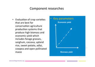 AugustinMercado-icraf-conservationagriculturewithtreesintopical uplands