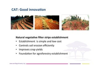 AugustinMercado-icraf-conservationagriculturewithtreesintopical uplands