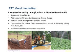 AugustinMercado-icraf-conservationagriculturewithtreesintopical uplands