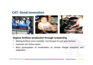 AugustinMercado-icraf-conservationagriculturewithtreesintopical uplands