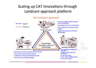 AugustinMercado-icraf-conservationagriculturewithtreesintopical uplands