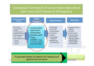 AugustinMercado-icraf-conservationagriculturewithtreesintopical uplands