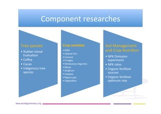 AugustinMercado-icraf-conservationagriculturewithtreesintopical uplands