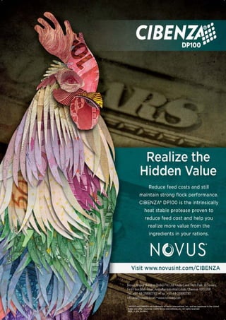 Think Grain Think Feed August issue