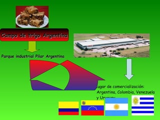 Campo de trigo Argentina Parque industrial Pilar Argentina Lugar de comercialización: Argentina, Colombia, Venezuela y Uruguay 
