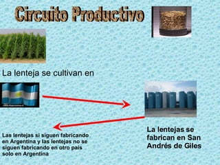 La lenteja se cultivan en La lentejas se fabrican en San Andrés de Giles Las lentejas si siguen fabricando en Argentina y las lentejas no se siguen fabricando en otro país solo en Argentina Circuito Productivo 