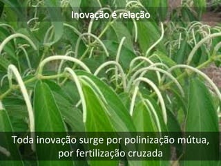 Inovação é relação




Toda inovação surge por polinização mútua, 
         por fertilização cruzada
 